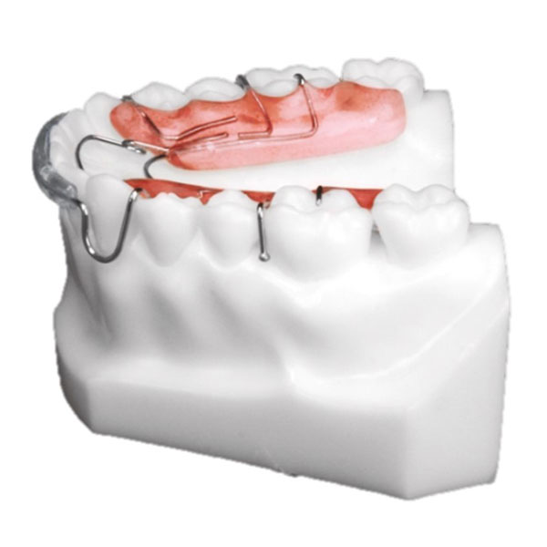 Premand Spring Retainer – BM Ortho Appliances Inc.